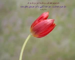 حدیث در قالب تصویری