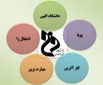 ویژگیهای دانشگاه فنی و حرفه ی