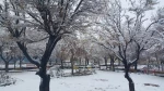 آموزشکده خمین24 آذر94