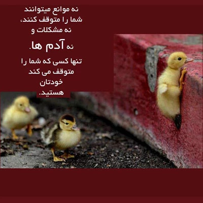 مدیریت زمان
