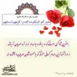 حضرت زهرا (س)