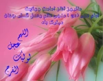 آغاز امامت حضرت صاحب الزمان