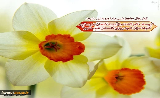 آغاز امامت حضرت صاحب الزمان