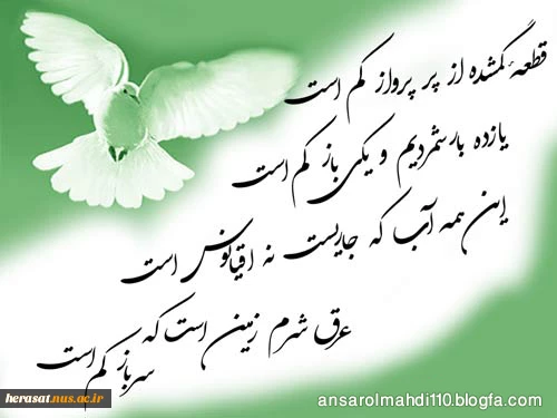آغاز امامت حضرت صاحب الزمان