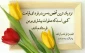 پیامبر اکرم