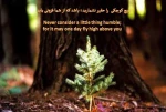 اللهم عجل لولیک الفرج
