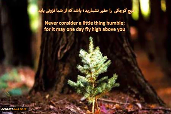 اللهم عجل لولیک الفرج
