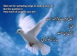 لغزش عالم