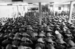 روز شمار انقلاب 
19 بهمن ماه