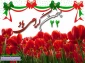22بهمن