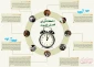 8 نکته برای فصل خلوت
