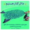 انتخاب ولایی