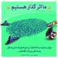 انتخاب ولایی
