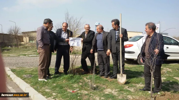 کاشت چند اصله درخت بمناسبت روز درختکاری در محوطه آموزشکده فنی پسران اردبیل 2