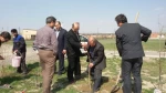 کاشت چند اصله درخت بمناسبت روز درختکاری در محوطه آموزشکده فنی پسران اردبیل 4
