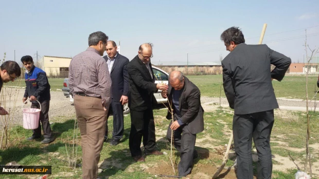 کاشت چند اصله درخت بمناسبت روز درختکاری در محوطه آموزشکده فنی پسران اردبیل 4