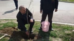 کاشت چند اصله درخت بمناسبت روز درختکاری در محوطه آموزشکده فنی پسران اردبیل 5