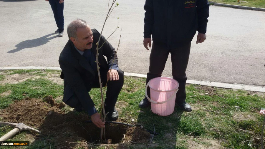 کاشت چند اصله درخت بمناسبت روز درختکاری در محوطه آموزشکده فنی پسران اردبیل 5
