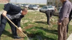 کاشت چند اصله درخت بمناسبت روز درختکاری در محوطه آموزشکده فنی پسران اردبیل 6