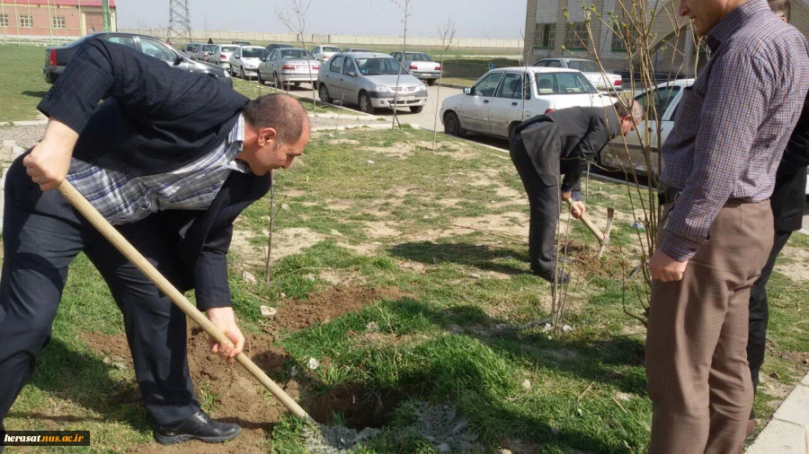 کاشت چند اصله درخت بمناسبت روز درختکاری در محوطه آموزشکده فنی پسران اردبیل 6