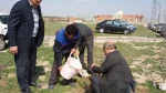 کاشت چند اصله درخت بمناسبت روز درختکاری در محوطه آموزشکده فنی پسران اردبیل 9