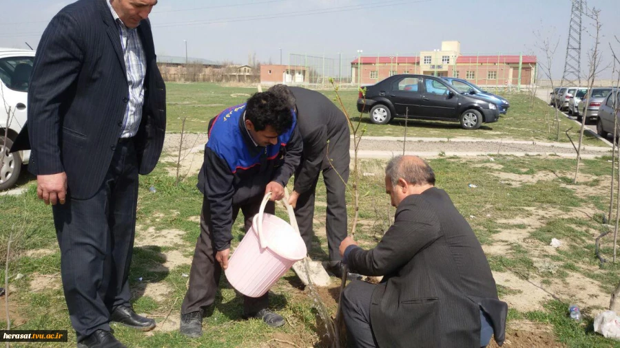 کاشت چند اصله درخت بمناسبت روز درختکاری در محوطه آموزشکده فنی پسران اردبیل 9