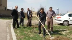 کاشت چند اصله درخت بمناسبت روز درختکاری در محوطه آموزشکده فنی پسران اردبیل 10