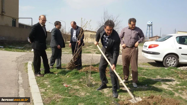 کاشت چند اصله درخت بمناسبت روز درختکاری در محوطه آموزشکده فنی پسران اردبیل 10
