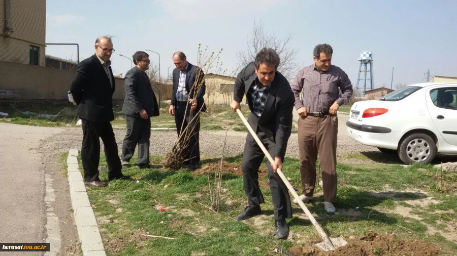 کاشت چند اصله درخت بمناسبت روز درختکاری در محوطه آموزشکده فنی پسران اردبیل 10