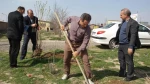 کاشت چند اصله درخت بمناسبت روز درختکاری در محوطه آموزشکده فنی پسران اردبیل 11