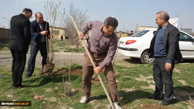 کاشت چند اصله درخت بمناسبت روز درختکاری در محوطه آموزشکده فنی پسران اردبیل 11