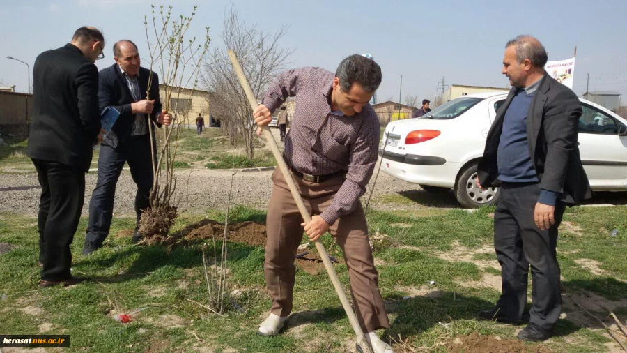 کاشت چند اصله درخت بمناسبت روز درختکاری در محوطه آموزشکده فنی پسران اردبیل 11