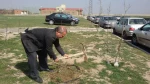 کاشت چند اصله درخت بمناسبت روز درختکاری در محوطه آموزشکده فنی پسران اردبیل 12