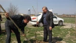 کاشت چند اصله درخت بمناسبت روز درختکاری در محوطه آموزشکده فنی پسران اردبیل 15