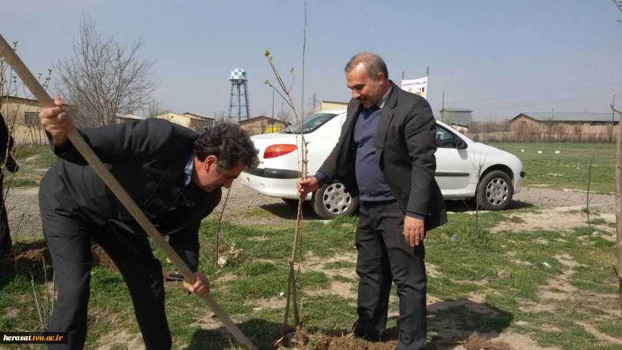 کاشت چند اصله درخت بمناسبت روز درختکاری در محوطه آموزشکده فنی پسران اردبیل 15