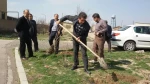 کاشت چند اصله درخت بمناسبت روز درختکاری در محوطه آموزشکده فنی پسران اردبیل 16