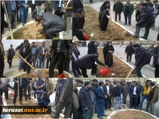 روز درختکاری  3
