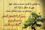 گلبرگی از بوستان نهج البلاغه