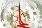 ولادت حضرت علی(ع) امام اول شیعیان گرامی باد