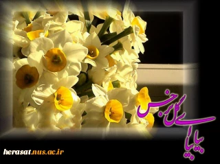 حدیث نور