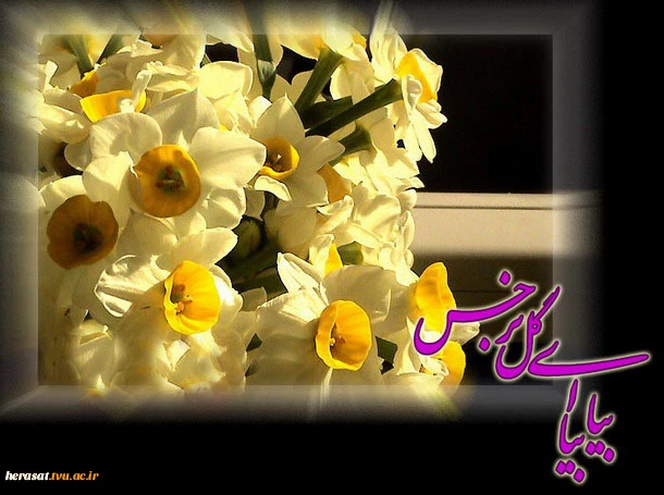 حدیث نور