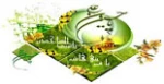 ولادت امام حسین (ع) 2