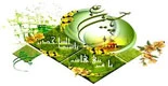 ولادت امام حسین (ع) 2