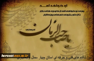 یا ابا صالح المهدی ادرکنی  11