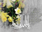 میلاد با سعادت منجی عالم بشریت، برپاکننده قسط و عدل
منتقم خون حسین(ع)، حضرت ولیعصر، امام زمان،
مهدی موعود (عج) بر عموم شیعیان جهان مبارک باد . . .