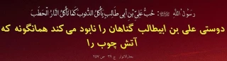قال رسول الله (ص): دوستی علی بن ابی طالب (ع) گناهان رانابود می کند همانگونه که آتش چوب را.