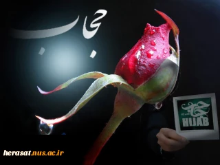 چادر سه نقطه دارد ... 
همان سه نقطه ای که فرق است بین پوشیدگی و پوسیدگی ......