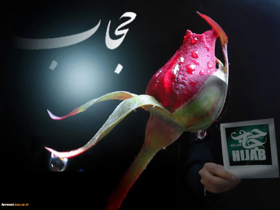 چادر سه نقطه دارد ... 
همان سه نقطه ای که فرق است بین پوشیدگی و پوسیدگی ......