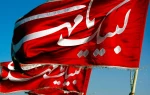 در خون ماست غیرت سردار علقمه ...../ ...... هیهات اگر حسین زمان را رها کنیم