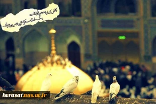ولادت با سعادت امام رضا علیه السلام  5